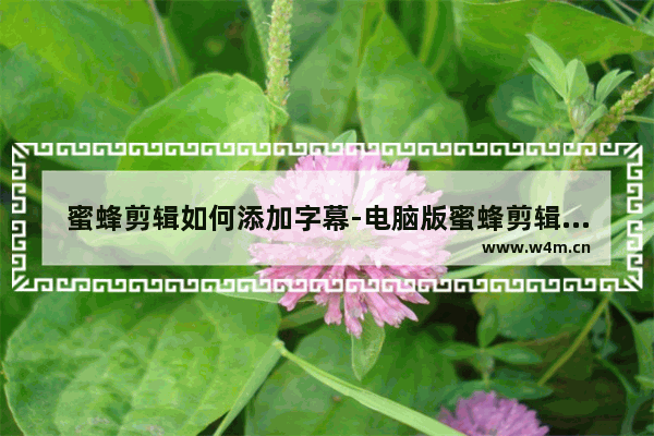 蜜蜂剪辑如何添加字幕-电脑版蜜蜂剪辑添加字幕的方法