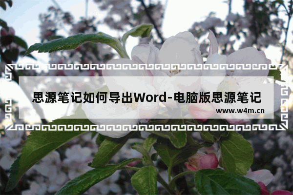 思源笔记如何导出Word-电脑版思源笔记导出Word的方法