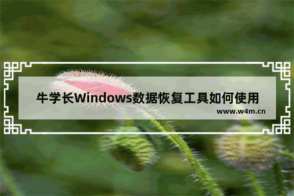 牛学长Windows数据恢复工具如何使用-牛学长Windows数据恢复工具使用方法