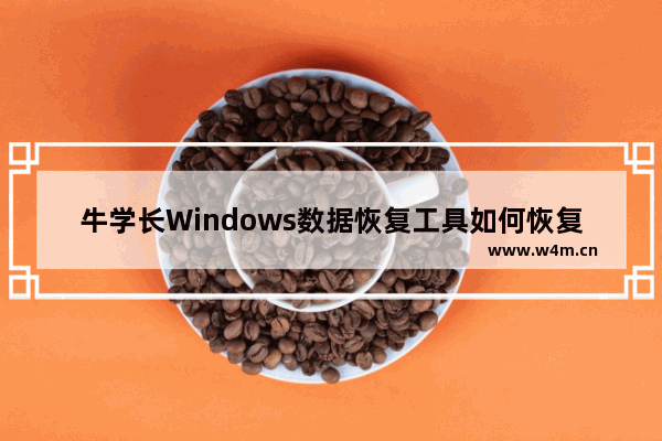 牛学长Windows数据恢复工具如何恢复c盘中的数据-牛学长Windows数据恢复工具恢复c盘中的数据方法