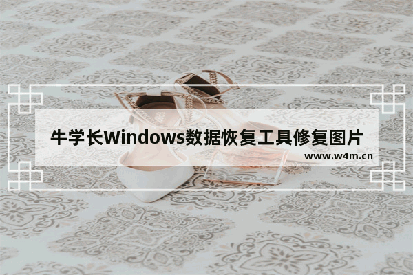 牛学长Windows数据恢复工具修复图片方法-牛学长Windows数据恢复工具如何修复图片