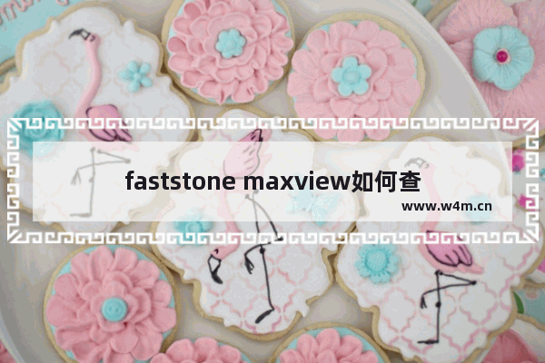 faststone maxview如何查看照片-faststone maxview查看照片的方法