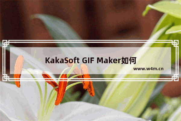 KakaSoft GIF Maker如何设置编辑器背景颜色-KakaSoft GIF Maker设置编辑器背景颜色的方法