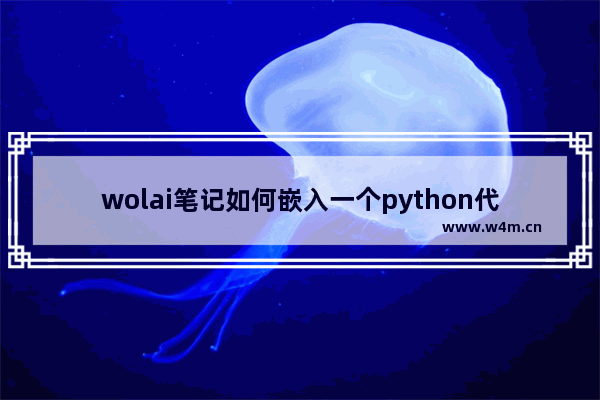 wolai笔记如何嵌入一个python代码块-wolai笔记嵌入一个python代码块的方法