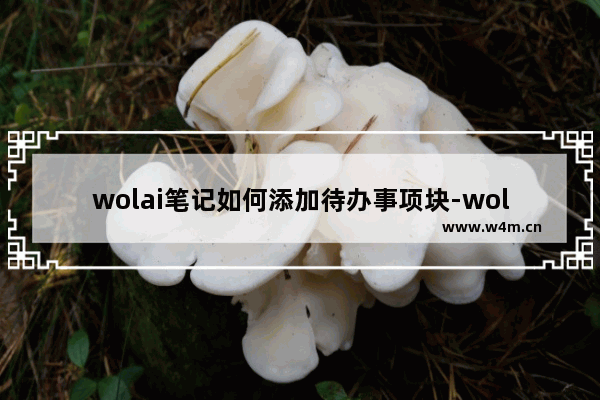 wolai笔记如何添加待办事项块-wolai笔记添加待办事项块的方法