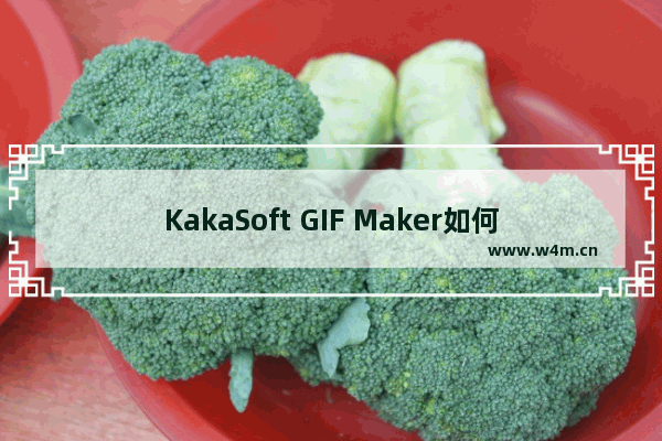 KakaSoft GIF Maker如何更改语言为中文-KakaSoft GIF Maker更改语言为中文的方法