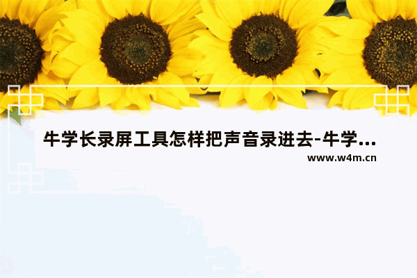 牛学长录屏工具怎样把声音录进去-牛学长录屏工具把声音录进去方法