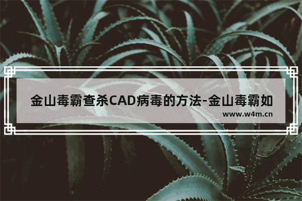 金山毒霸查杀CAD病毒的方法-金山毒霸如何查杀CAD病毒