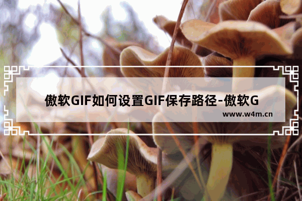 傲软GIF如何设置GIF保存路径-傲软GIF设置GIF保存路径的方法