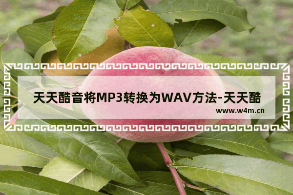 天天酷音将MP3转换为WAV方法-天天酷音如何将MP3转换为WAV