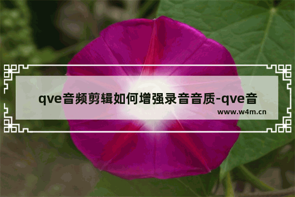 qve音频剪辑如何增强录音音质-qve音频剪辑增强录音音质的方法