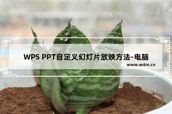 WPS PPT自定义幻灯片放映方法-电脑版WPS PPT如何自定义幻灯片放映