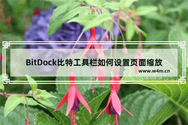 BitDock比特工具栏如何设置页面缩放-BitDock比特工具栏设置页面缩放的方法