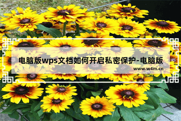 电脑版wps文档如何开启私密保护-电脑版wps文档开启私密保护方法