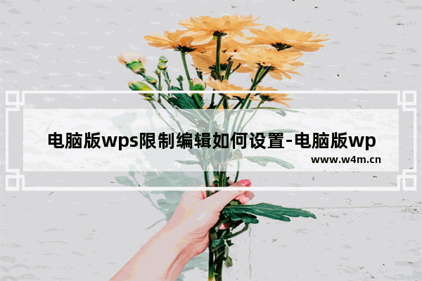 电脑版wps限制编辑如何设置-电脑版wps限制编辑设置方法