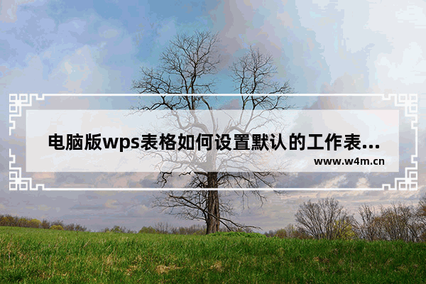 电脑版wps表格如何设置默认的工作表个数-电脑版wps表格设置默认三个工作表方法