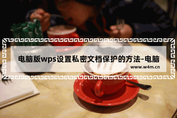 电脑版wps设置私密文档保护的方法-电脑版wps怎么设置私密文档保护