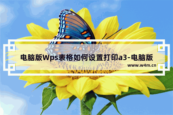 电脑版Wps表格如何设置打印a3-电脑版Wps表格设置打印a3方法