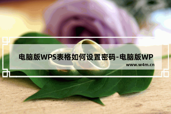 电脑版WPS表格如何设置密码-电脑版WPS表格设置安全密码方法