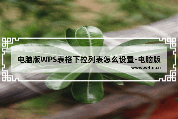 电脑版WPS表格下拉列表怎么设置-电脑版WPS表格下拉列表设置方法