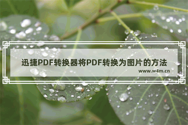 迅捷PDF转换器将PDF转换为图片的方法-迅捷PDF转换器如何将PDF转换为图片