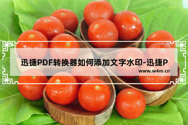 迅捷PDF转换器如何添加文字水印-迅捷PDF转换器添加文字水印方法