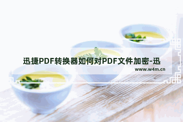 迅捷PDF转换器如何对PDF文件加密-迅捷PDF转换器给PDF文件加密方法