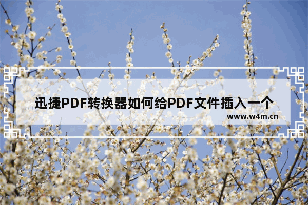 迅捷PDF转换器如何给PDF文件插入一个页面-迅捷PDF转换器给PDF文件插入一个页面方法