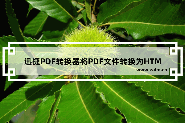 迅捷PDF转换器将PDF文件转换为HTML方法-迅捷PDF转换器如何将PDF文件转换为HTML