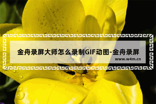 金舟录屏大师怎么录制GIF动图-金舟录屏大师录制GIF视频方法