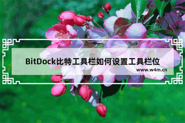 BitDock比特工具栏如何设置工具栏位置-BitDock比特工具栏设置工具栏位置的方法