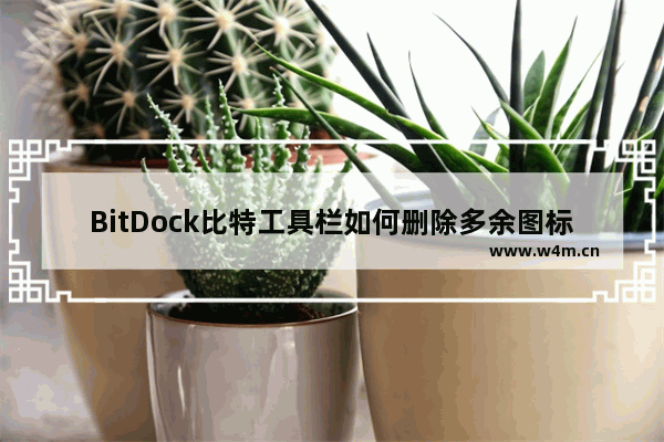 BitDock比特工具栏如何删除多余图标-BitDock比特工具栏删除多余图标的方法