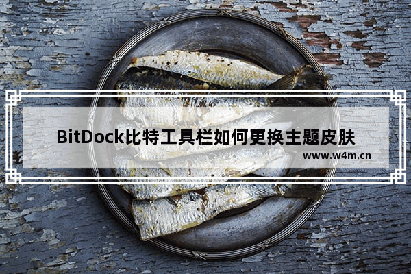 BitDock比特工具栏如何更换主题皮肤-BitDock比特工具栏更换主题皮肤的方法