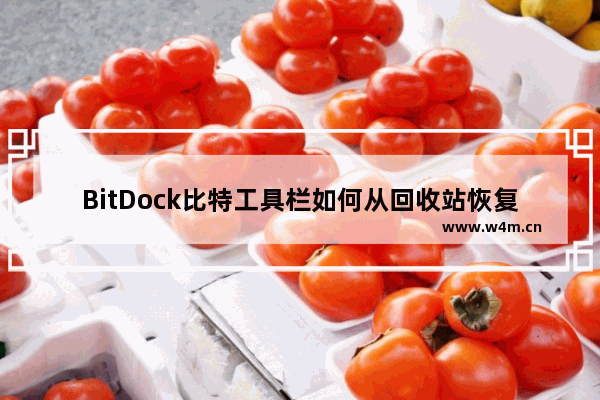 BitDock比特工具栏如何从回收站恢复图标-BitDock比特工具栏从回收站恢复图标的方法