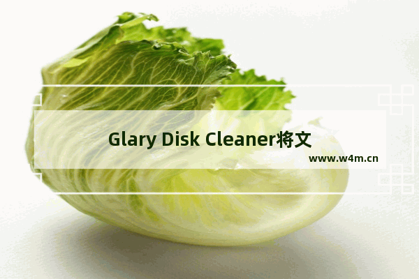 Glary Disk Cleaner将文件添加到忽略列表的方法-Glary Disk Cleaner怎么避免重要文件被清理