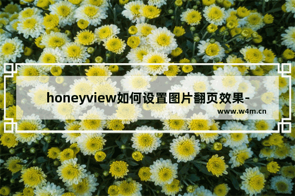 honeyview如何设置图片翻页效果-honeyview设置多张图片翻页效果方法