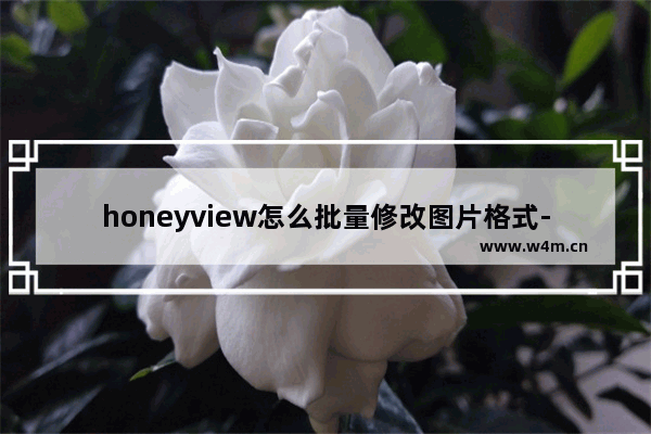 honeyview怎么批量修改图片格式-honeyview批量修改图片格式方法