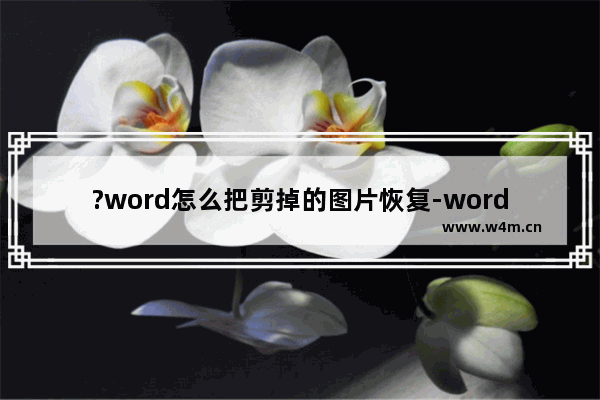 ?word怎么把剪掉的图片恢复-word软件将剪掉的图片恢复原状的解决方法