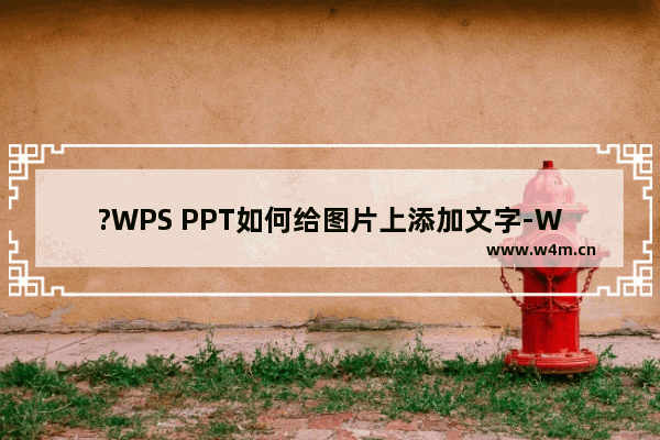 ?WPS PPT如何给图片上添加文字-WPS演示文稿在图片上写字的方法教程