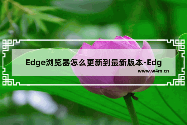 Edge浏览器怎么更新到最新版本-Edge浏览器更新到最新版本的方法