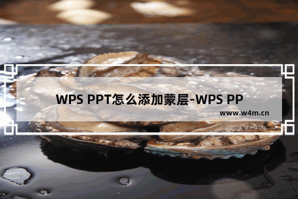 WPS PPT怎么添加蒙层-WPS PPT为图片添加蒙层的方法