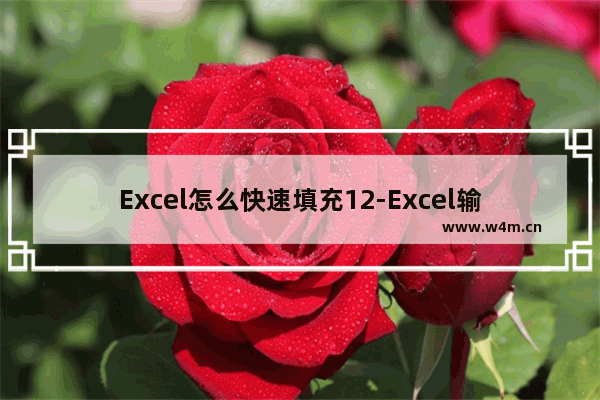 Excel怎么快速填充12-Excel输入重复数据的方法