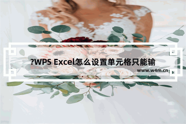 ?WPS Excel怎么设置单元格只能输入小数-WPS表格限制只能输入小数的方法教程