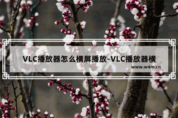 VLC播放器怎么横屏播放-VLC播放器横屏播放的方法