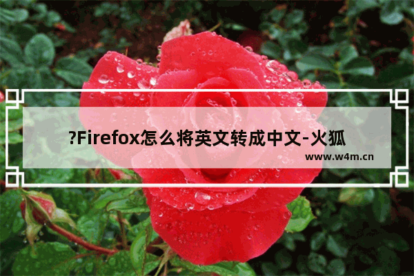 ?Firefox怎么将英文转成中文-火狐浏览器设置语言为简体中文的方法教程