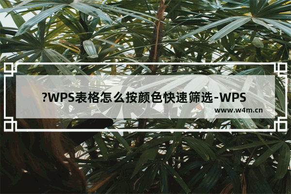 ?WPS表格怎么按颜色快速筛选-WPS Excel按照颜色进行筛选操作的方法教程