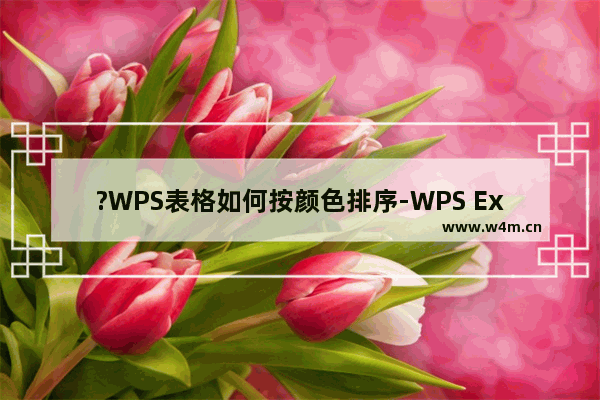 ?WPS表格如何按颜色排序-WPS Excel按照颜色进行排序的方法教程