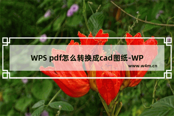 WPS pdf怎么转换成cad图纸-WPS PDF文档转换成CAD图纸的方法