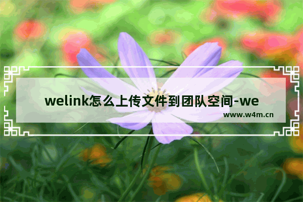 welink怎么上传文件到团队空间-welink上传文件到团队空间的方法