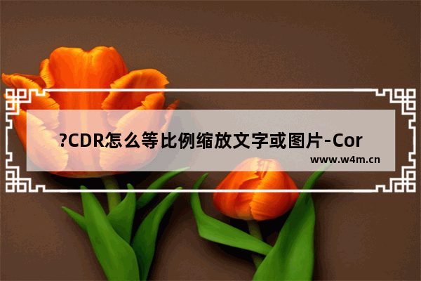 ?CDR怎么等比例缩放文字或图片-CorelDRAW等比例缩放文字或图片保证不变形的方法教程